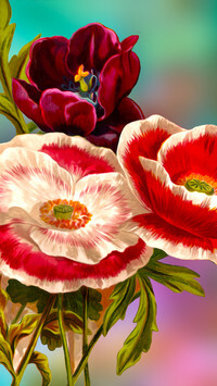 Oryginalny obrazek