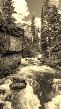 Sepia