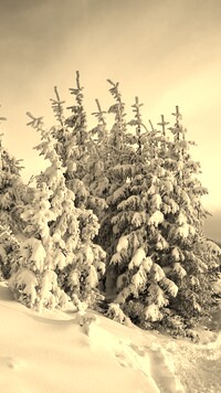 Sepia