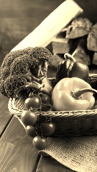 Szary + Sepia