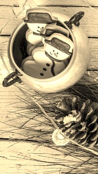 Szary + Sepia