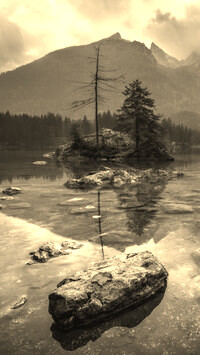 Sepia