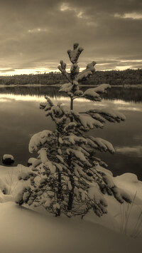 Sepia