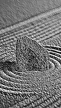 Skamielina