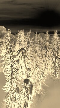 Sepia + Negatyw