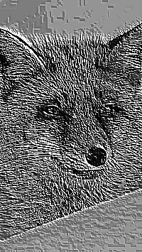 Skamielina