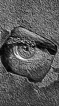 Skamielina