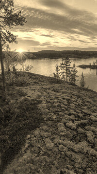 Szary + Sepia