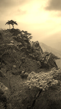 Sepia