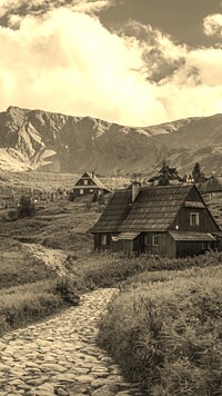 Szary + Sepia