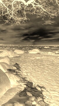 Sepia + Negatyw