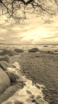 Szary + Sepia