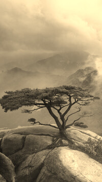 Sepia