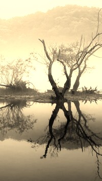 Sepia