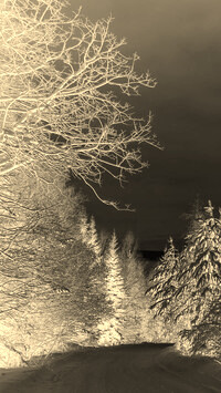 Sepia + Negatyw