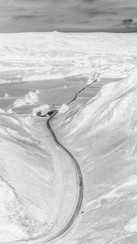 Szary + Negatyw
