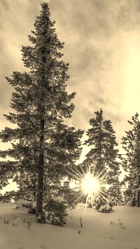 Szary + Sepia