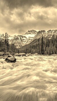 Sepia