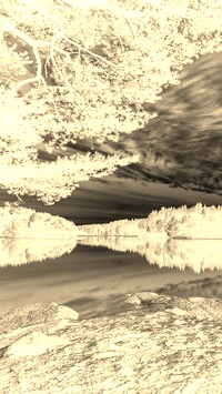 Sepia + Negatyw