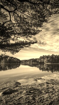 Sepia