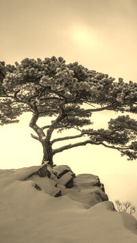 Sepia
