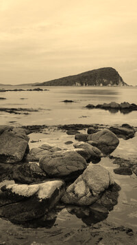 Sepia