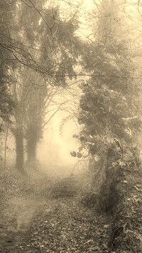 Szary + Sepia