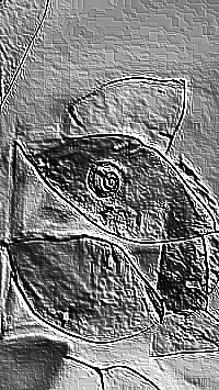 Skamielina