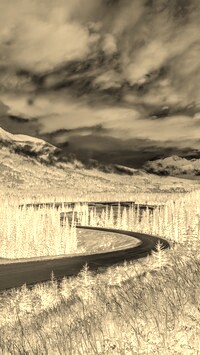 Sepia + Negatyw