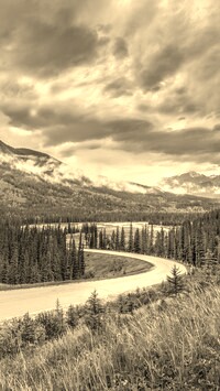 Sepia