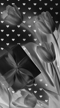 Szary + Negatyw