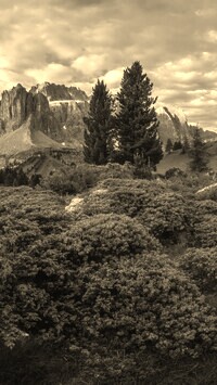 Szary + Sepia