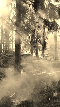 Szary + Sepia