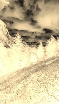 Sepia + Negatyw