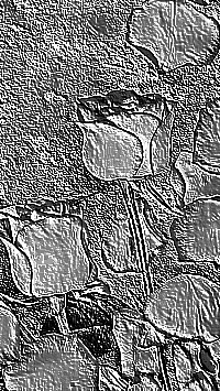 Skamielina