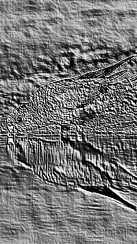 Skamielina