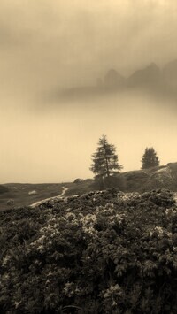 Szary + Sepia