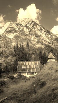 Szary + Sepia