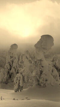 Szary + Sepia
