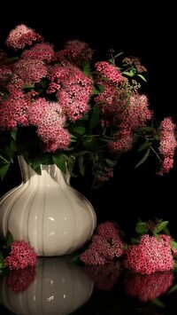 Oryginalny obrazek