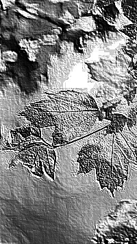 Skamielina