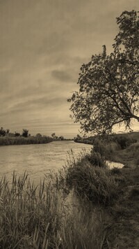 Szary + Sepia