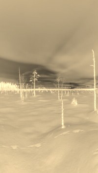 Sepia + Negatyw
