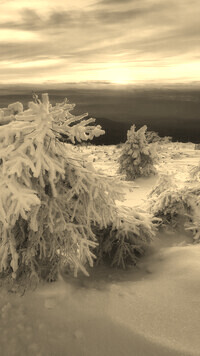 Sepia