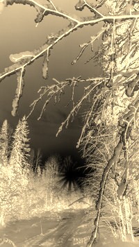 Sepia + Negatyw