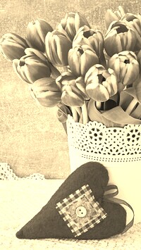 Szary + Sepia