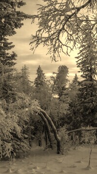 Szary + Sepia