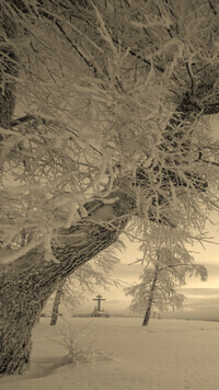 Szary + Sepia