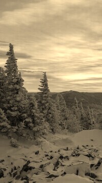 Sepia
