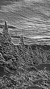 Skamielina